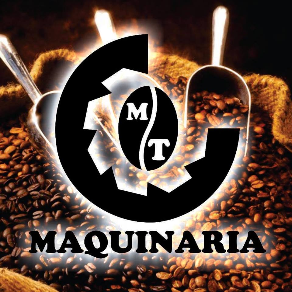 41_logo mt