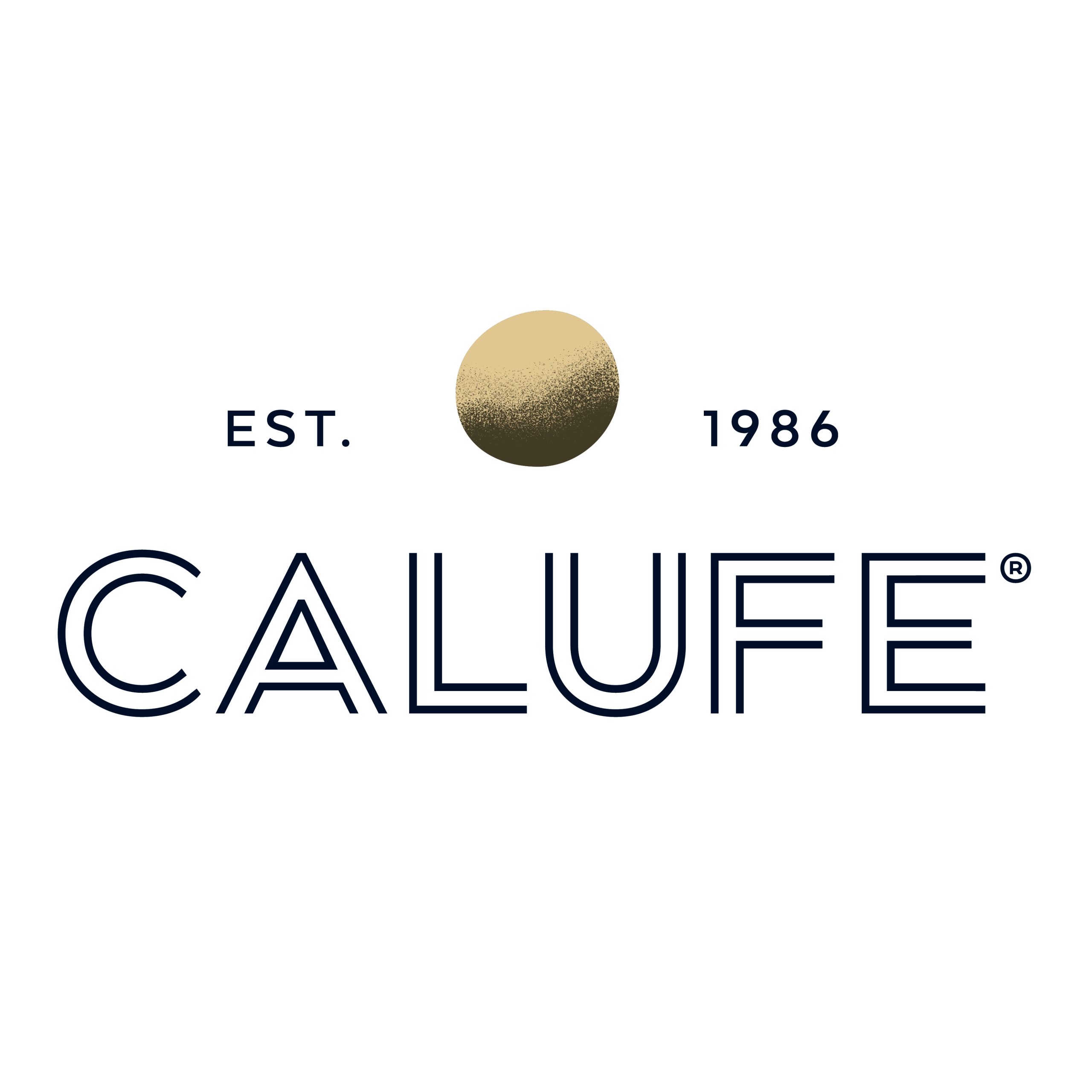 67ba0d5f056f7Logo azul