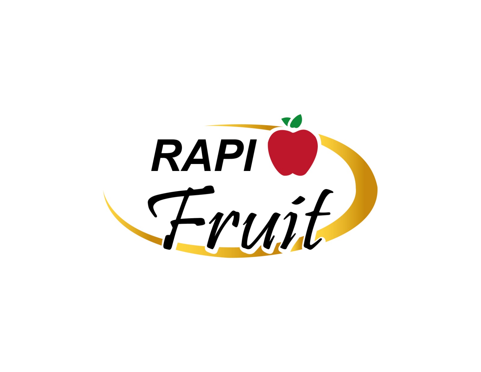 101_RAPI LOGO