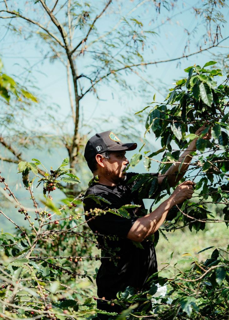 120_52167fb9-523f-4d5f-adec-b0723ba6108a