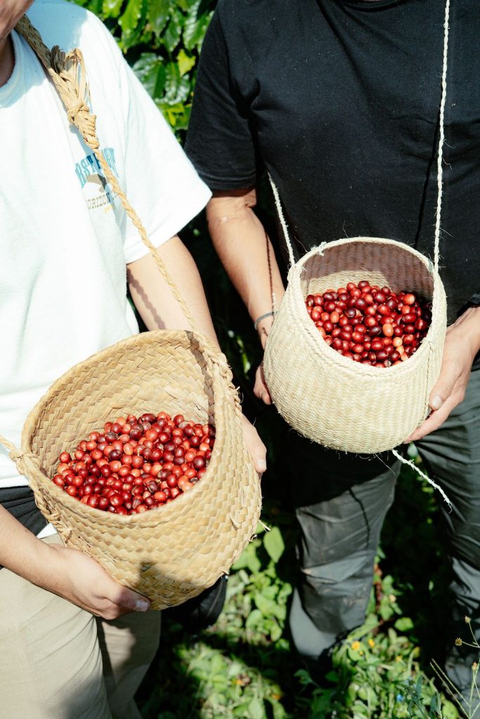 120_6bf5d77b-616e-4dbf-b6bf-db3692c7171c