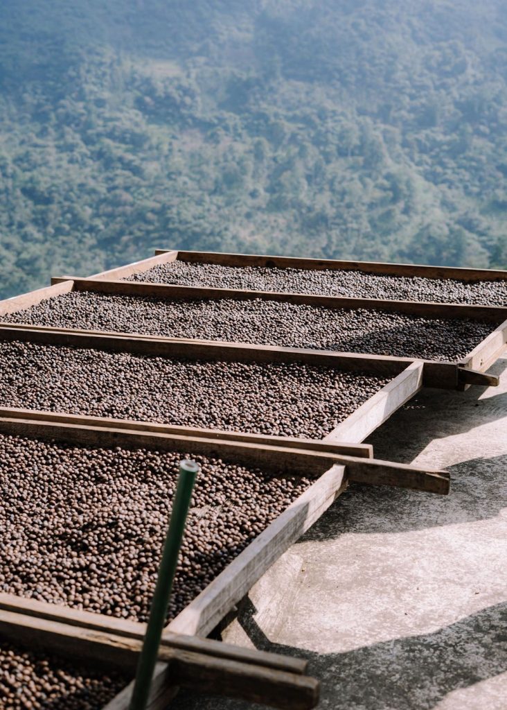 120_728a8f29-94af-4bfe-8fbd-f7a63c1270f6