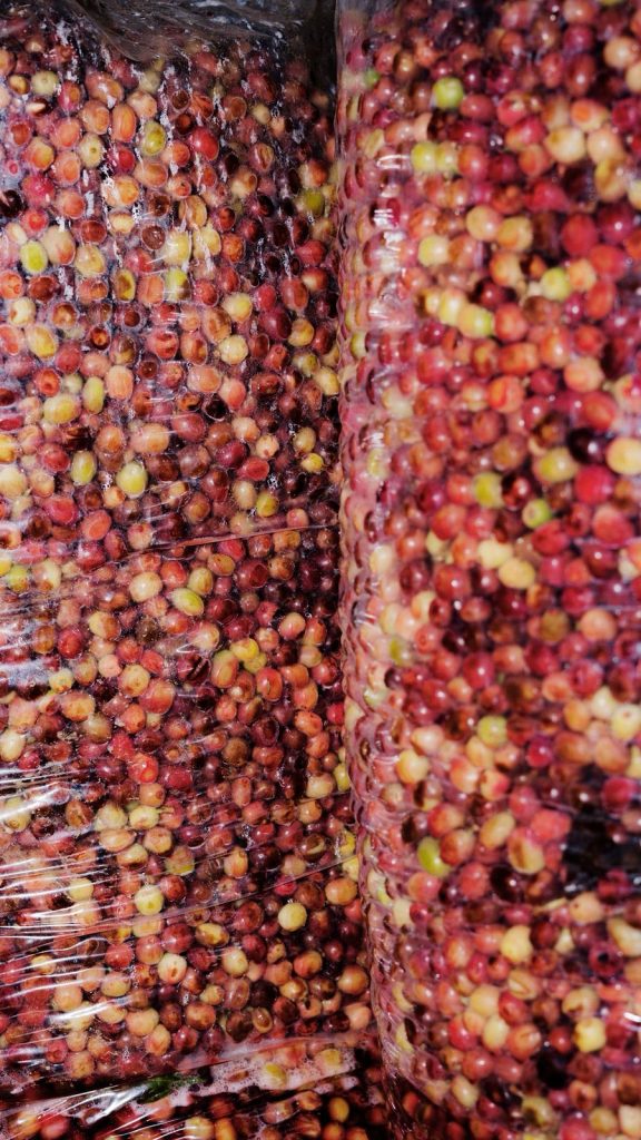 120_c7d61c5d-f1d8-4c50-aea2-8e32c78db777