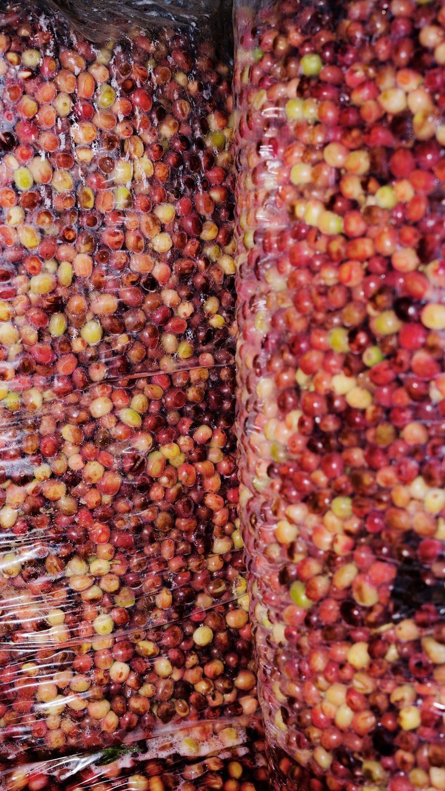 120_c7d61c5d-f1d8-4c50-aea2-8e32c78db777