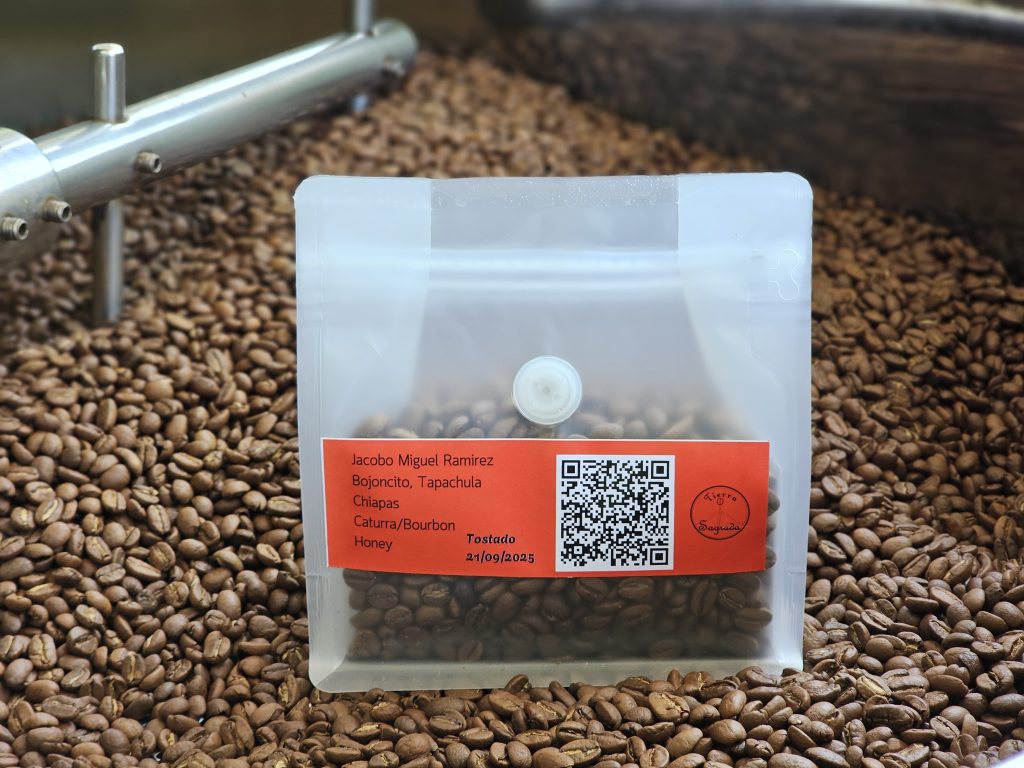 123_IMG-20250830-WA0051