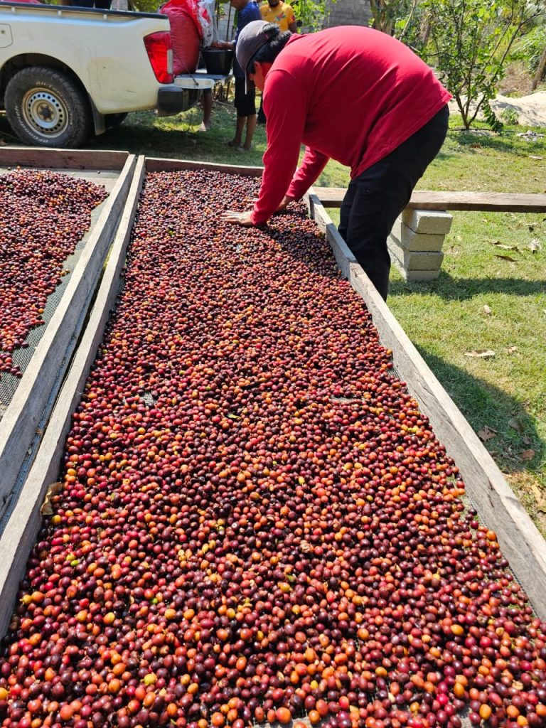 123_WhatsApp Image 2026-02-09 at 4.09.06 PM