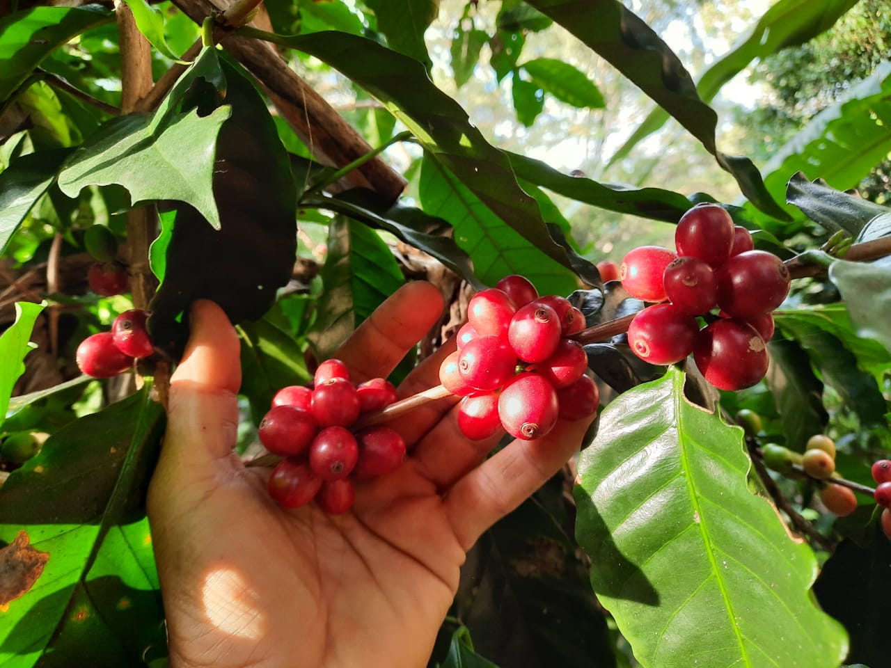 124_IMG-20210218-WA0001