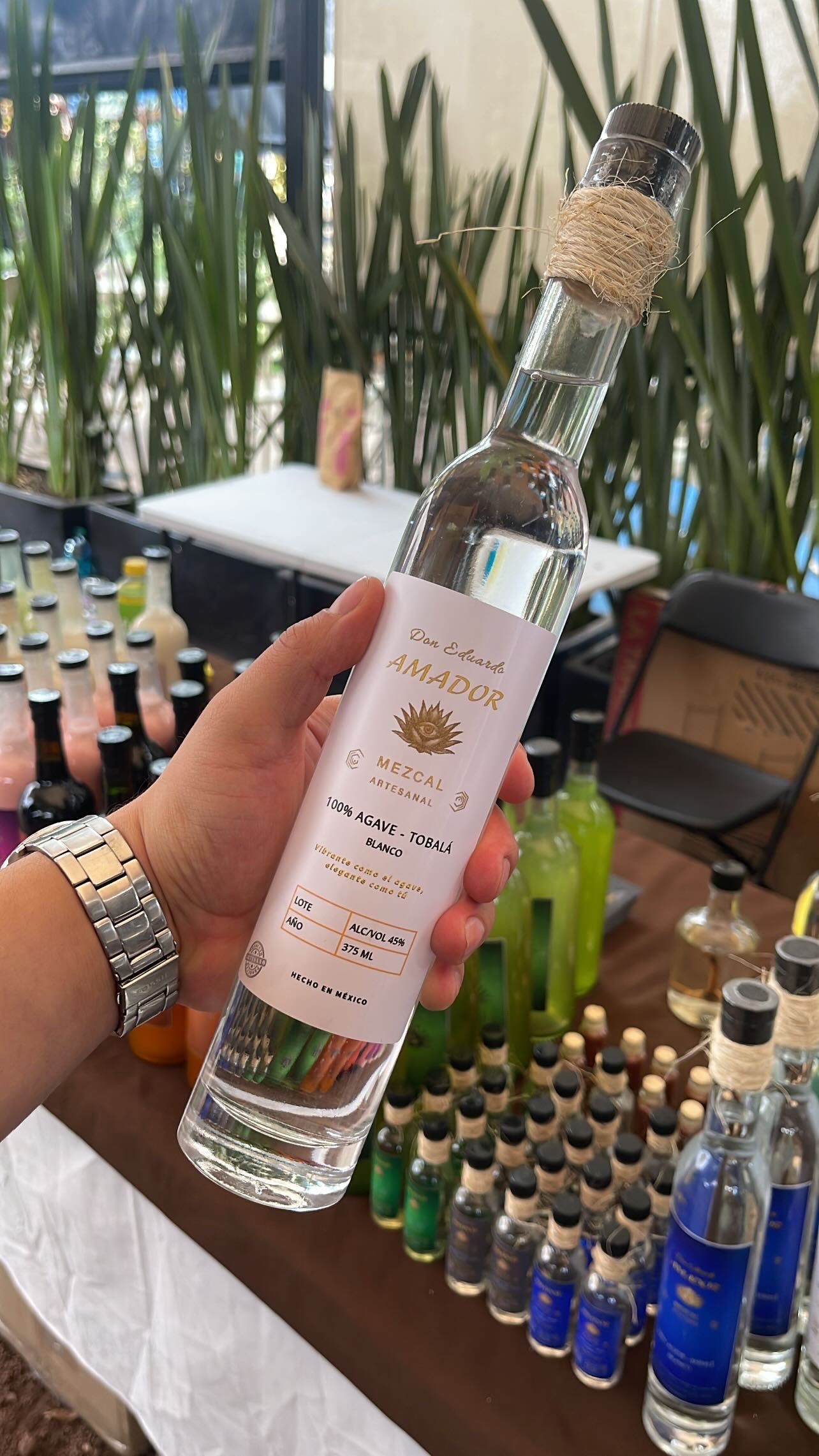 126_6108BB11-4543-44B7-A65B-6D697D06A008