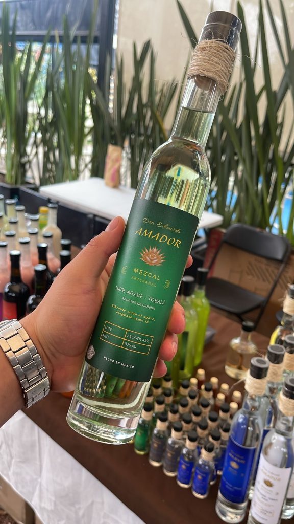 126_AE321341-DD62-47BC-8C7E-60366A27E62B