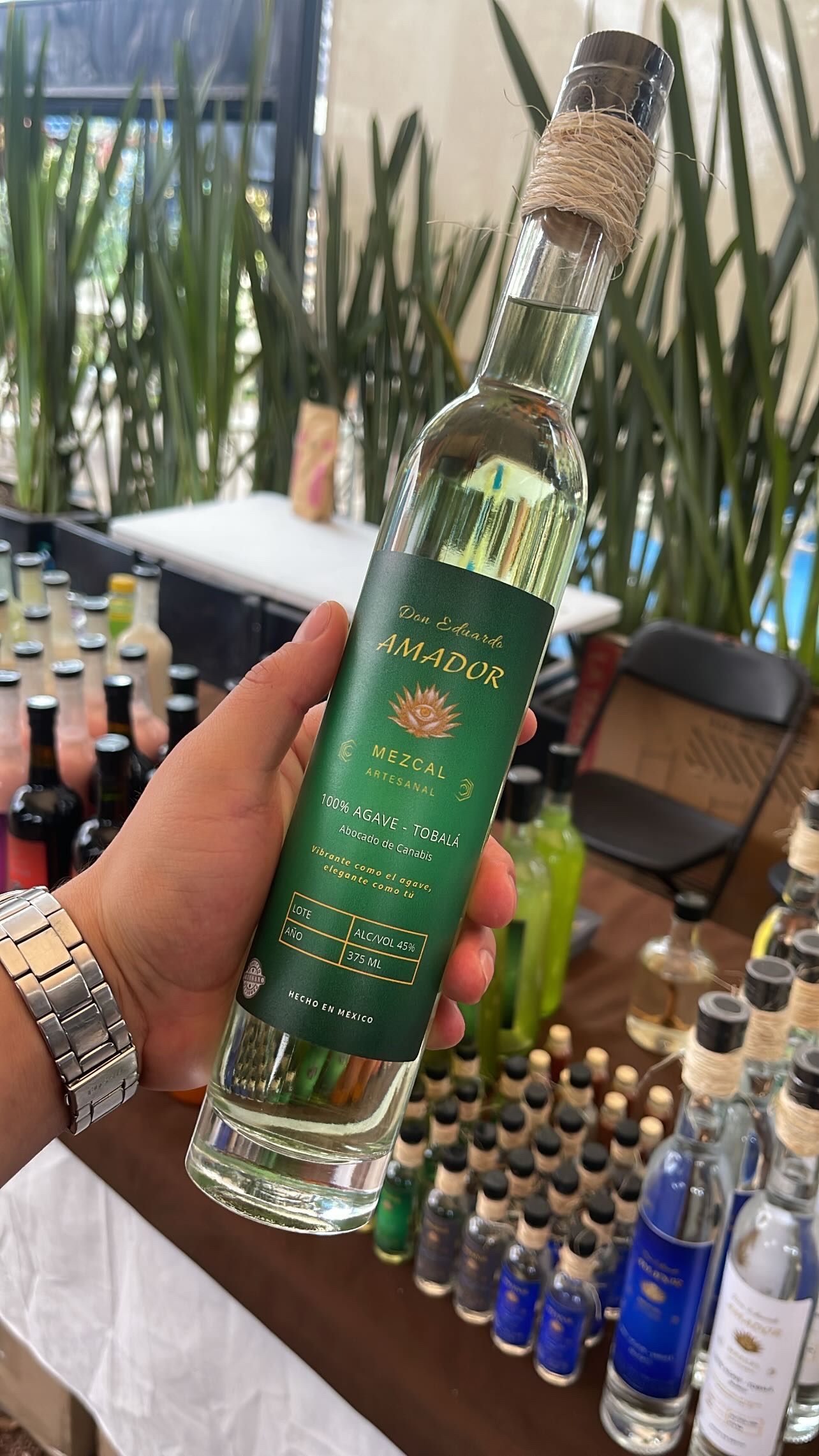 126_AE321341-DD62-47BC-8C7E-60366A27E62B