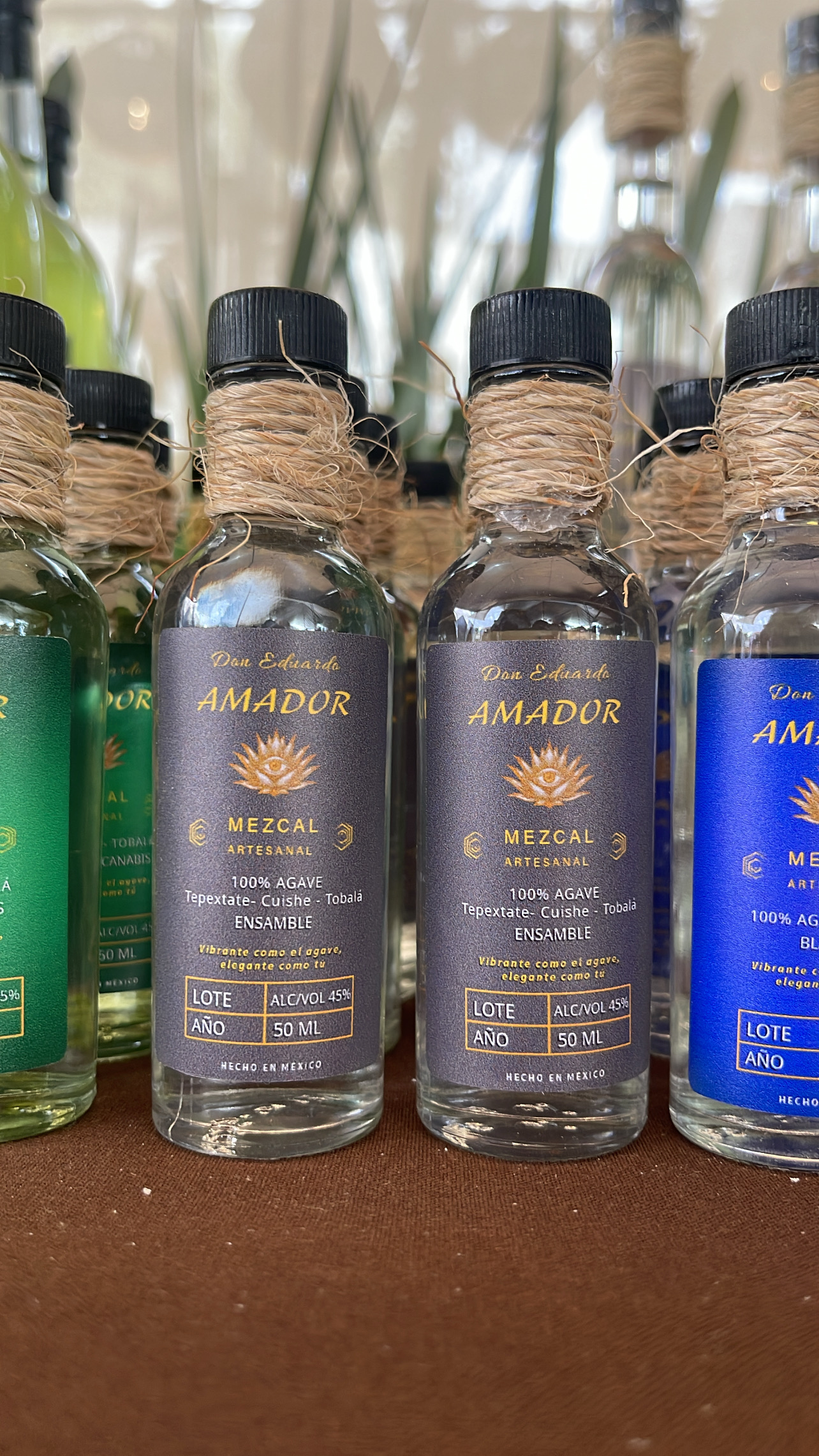 126_E5FAC48F-CDBA-41D4-9091-ABC813C70057