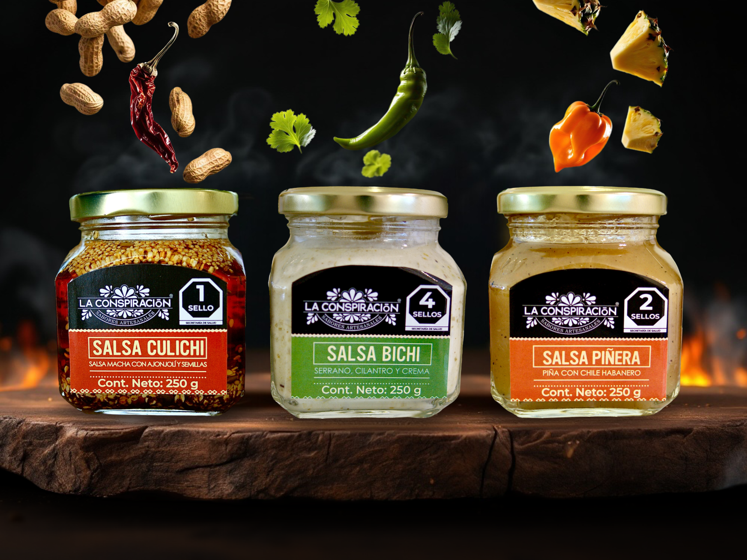 29_GRUPAL-3-CULICHI-BICHI-PIÑERA