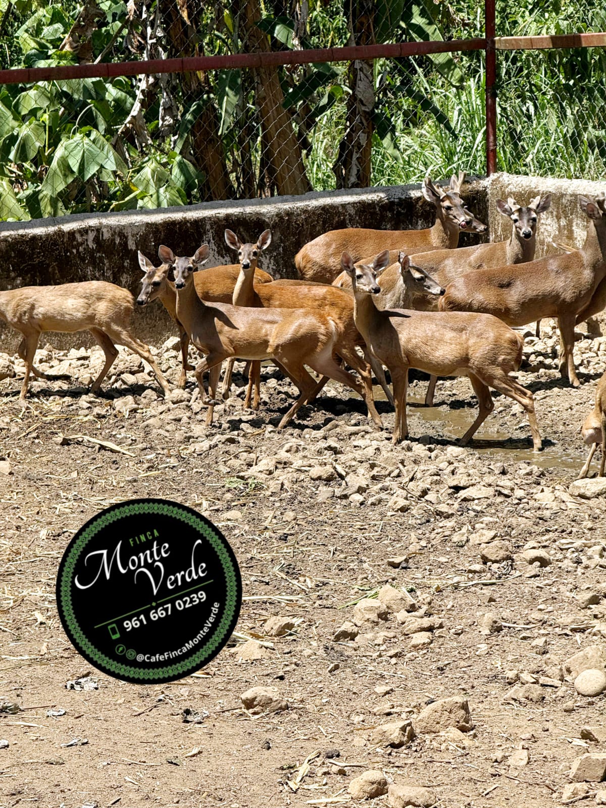 94_WhatsApp Image 2026-02-05 at 12.03.11 PM-2