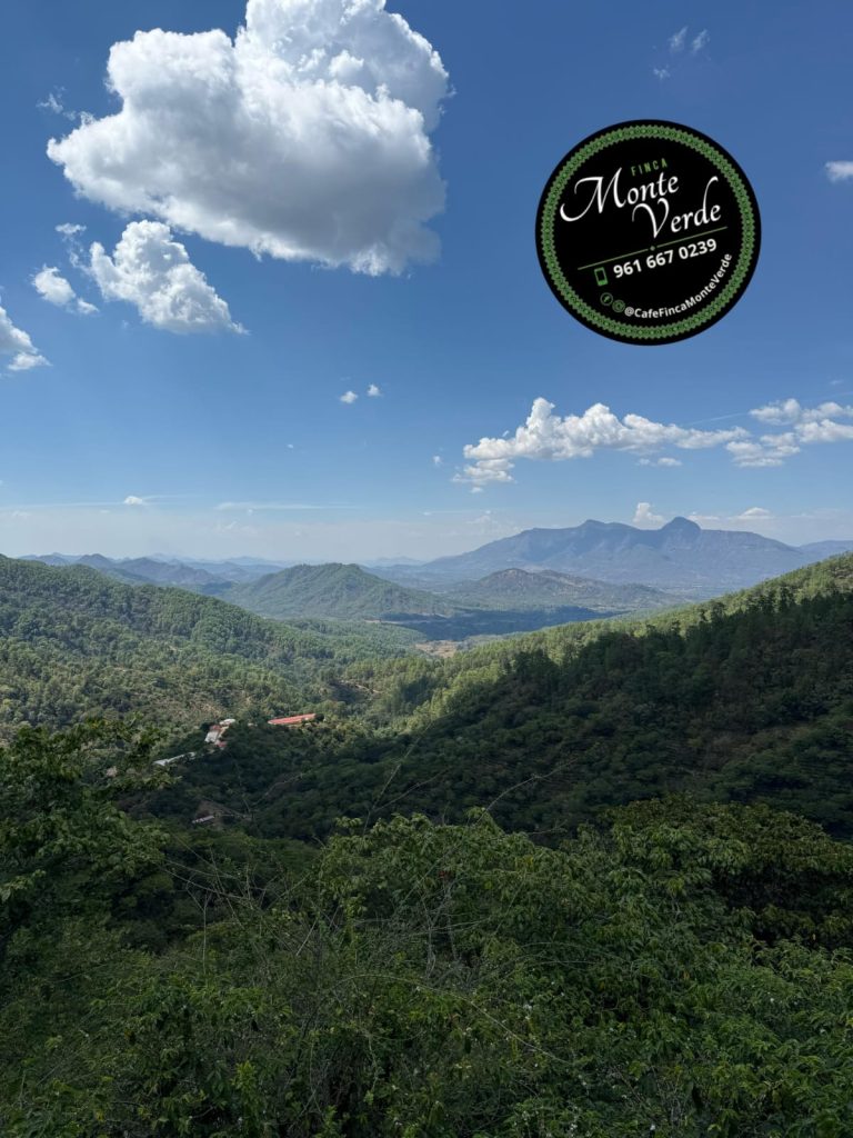 94_WhatsApp Image 2026-02-05 at 12.03.11 PM-3