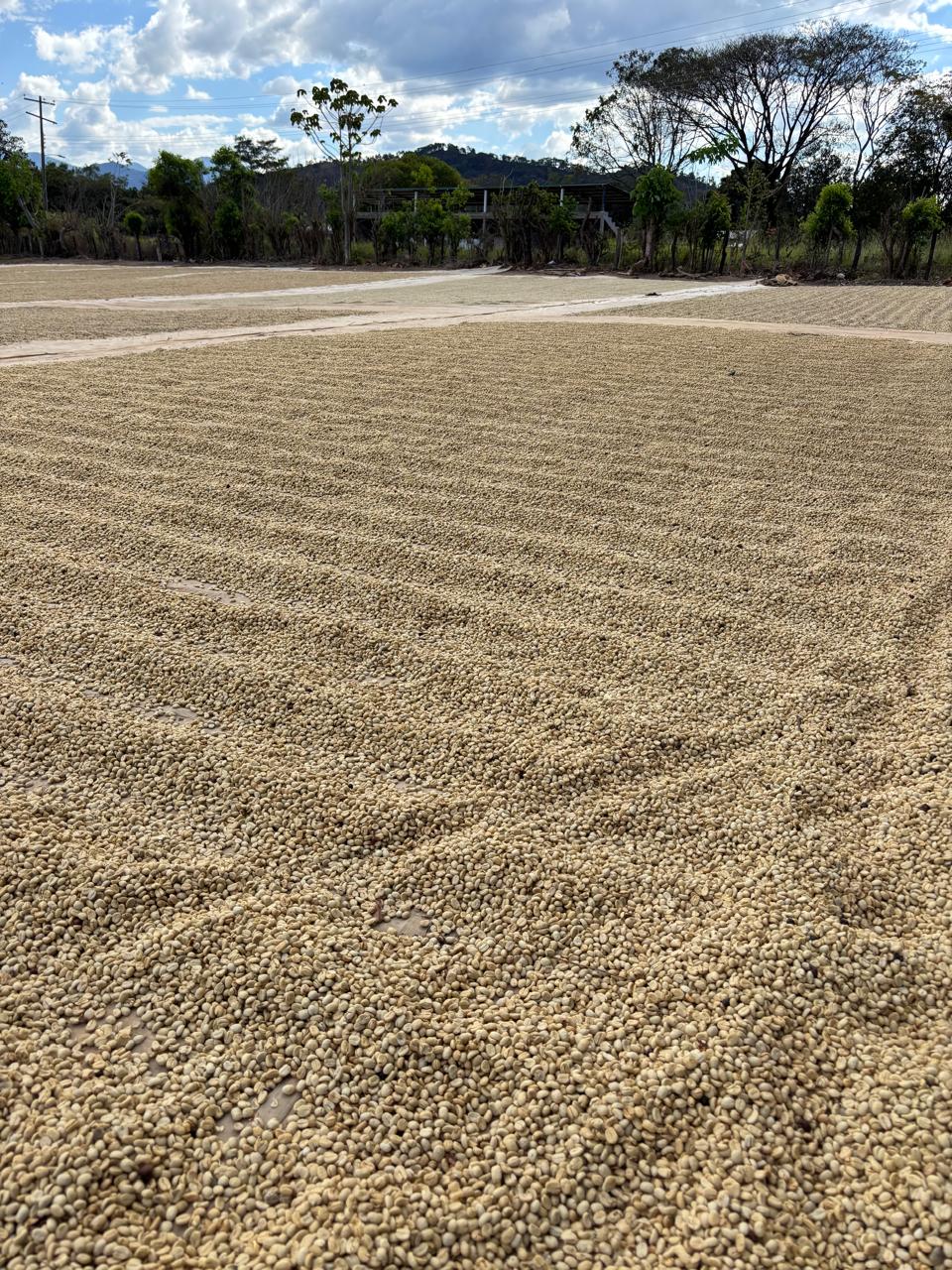 94_WhatsApp Image 2026-02-05 at 12.03.11 PM-5