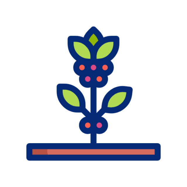 Productores de Café
