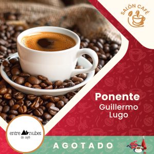 Taller Barista Básico