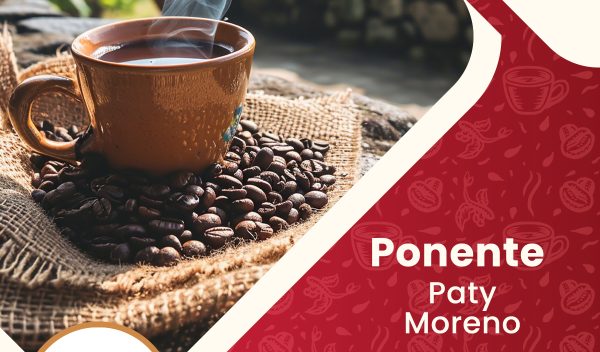 masterclass-degustacion-cafe