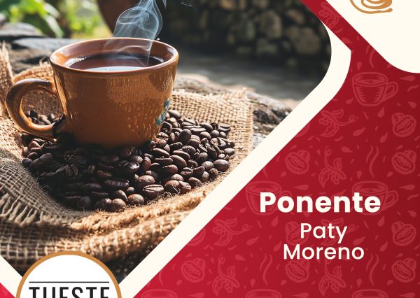 masterclass-degustacion-cafe